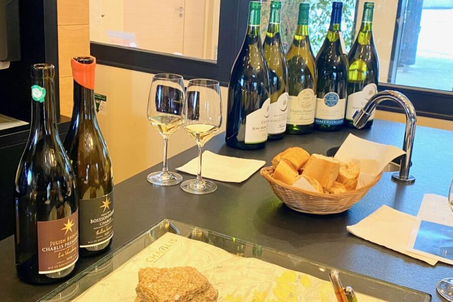 Private Burgundy 4 Domains 20 Chablis Wines Caves from Paris - Luxury Transport and Small Group Comfort