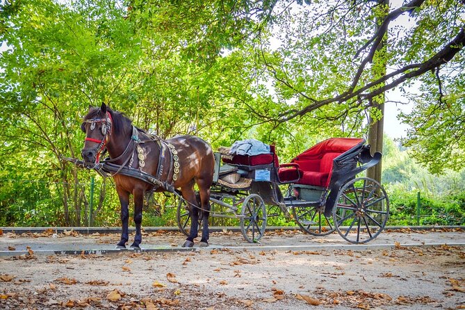 Private Carriage Ride in Vrelo Bosne Nature Park - Exploring the Path along the Great Alley