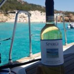 Private Catamaran Tour to the Maddalena Archipelago from Porto Rafael Palau - Exploring Spiaggia Rosa: One of the World’s Most Beautiful Beaches