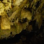 Private Caves tour with a Geologist - Visiting Algar do Carvão: An Iconic Volcanic Cave
