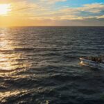 Private Charter 2 Hours Whale Watching Puerto Colon Adeje - The Exciting Itinerary and Marine Encounters