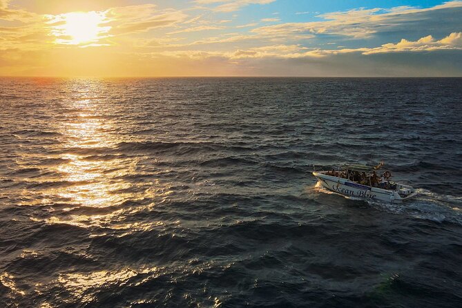 Private Charter 2 Hours Whale Watching Puerto Colon Adeje - The Exciting Itinerary and Marine Encounters