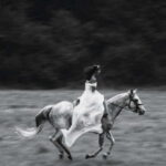 Private Chianti Horseback Riding Wine Tasting + Lunch - Scenic Horseback Riding in the Chianti Countryside