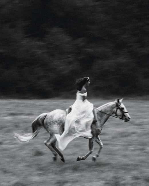 Private Chianti Horseback Riding Wine Tasting + Lunch - Scenic Horseback Riding in the Chianti Countryside