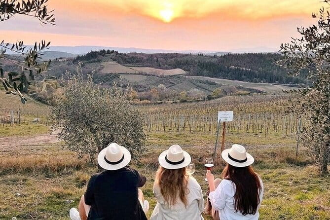 Private Chianti Tour and Wine Tasting - Convenient Hotel Pickup and Private Group Focus