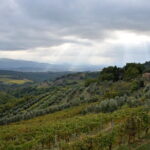Private Chianti wine tour - From the Vineyard to Castellina in Chianti