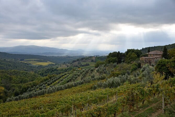 Private Chianti wine tour - From the Vineyard to Castellina in Chianti