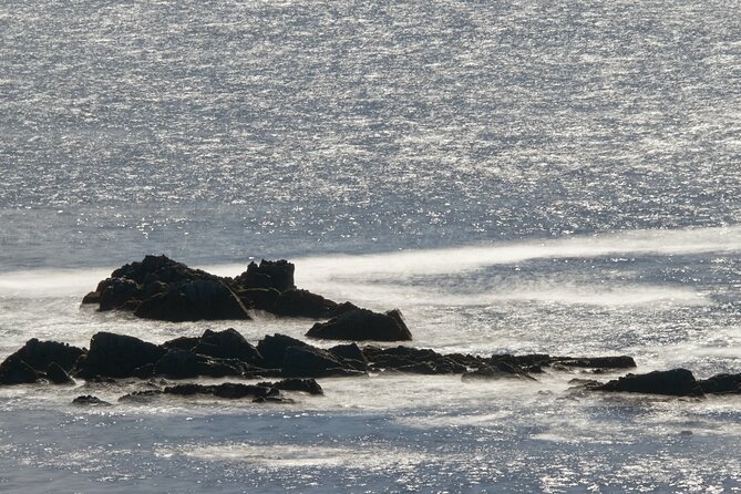 Private Connemara Day Tour - Visiting Ross Errilly Friary: One of Ireland’s Best-Preserved Friaries