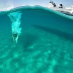 Private Cruise: PAROS  DELOS  RHENIA - MYKONOS - Rhenia’s Stunning Beaches and Crystal Waters