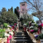 Private Customized Barcelona Tour by Mercedes VIP Bus and Personal Expert Guide - Private Mercedes VIP Bus Offers Comfort and Style