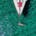 Private Daily Sailing Cruise from Skopelos port to Alonissos - Discovering Alonissos Beaches Only Accessible by Boat