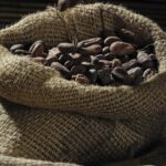 Private Dark Chocolate Tasting Tour in Paris - Learning to Recognize High-Quality Dark Chocolate