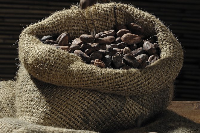 Private Dark Chocolate Tasting Tour in Paris - Learning to Recognize High-Quality Dark Chocolate