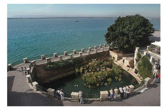 Private Day Tour to Syracuse and Noto - Strolling Through Ortigia’s Historic Streets and Fountain of Arethusa