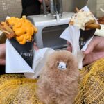 Private Day Trip Brussels from Paris with Chocolate/Beer Tasting - Starting Point and Transport Details in Paris