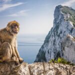 *Private Day Trip* Gibraltar and Vejer from Cádiz - Gibraltar: Panoramic Views and Iconic Landmarks