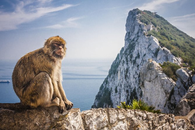 *Private Day Trip* Gibraltar and Vejer from Cádiz - Gibraltar: Panoramic Views and Iconic Landmarks