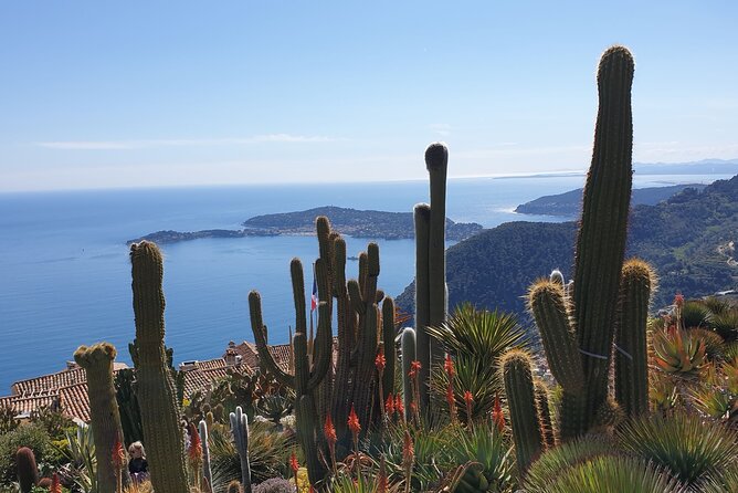Private Day Trip Italian Riviera - Discovering Dolceacqua’s Medieval Splendor