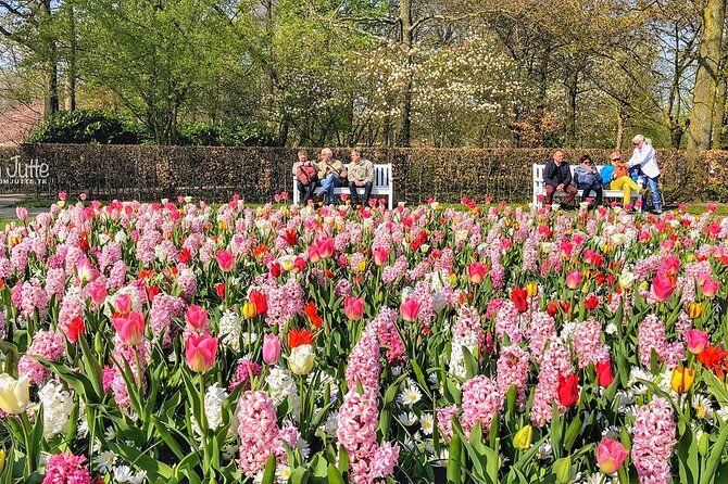 Private Day Trip to Keukenhof Gardens with Entrance Tickets - Skip the Lines and Enter Keukenhof Gardens with Ease