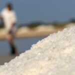 Private Day Trip To Pag Island and Nin Saltworks from Zadar - The Departure and Transportation Experience