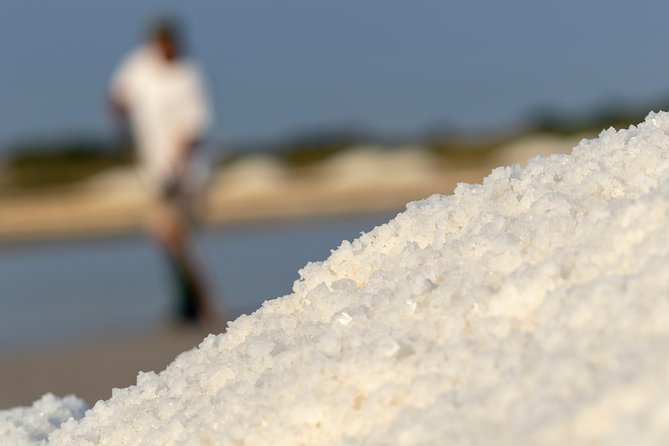 Private Day Trip To Pag Island and Nin Saltworks from Zadar - The Departure and Transportation Experience