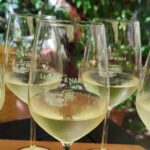 Private day trip to the Romantic Rhine Valley with river cruise and wine tasting - Rüdesheim am Rhein: The Touristic Heart of the Rhine Valley