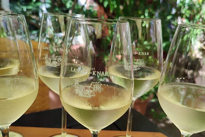 Private day trip to the Romantic Rhine Valley with river cruise and wine tasting - Rüdesheim am Rhein: The Touristic Heart of the Rhine Valley