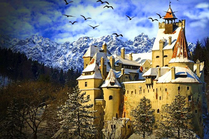 Private Day Trip to Transylvania: Dracula, Sinaia & Brasov (from Bucharest) - Starting from Bucharest: Private Pickup and Transport