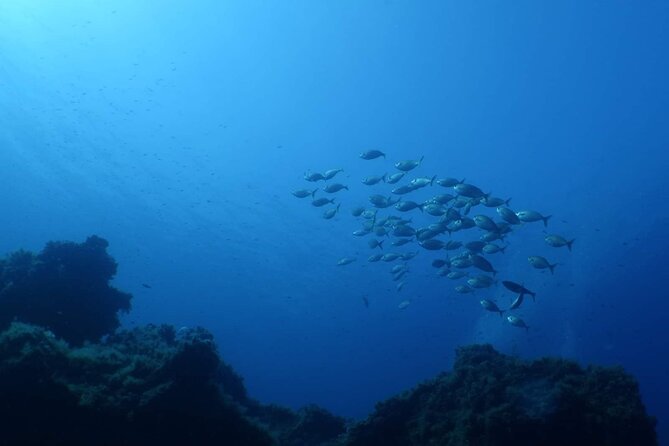 Private diving baptism in the Golf of Calvi - Equipment and Safety Measures
