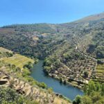 Private Douro Luxury,Private Boat,Wine,visits, 5 Stars Lunch - Gourmet Lunch with Award-Winning Wines at a 5-Star Restaurant