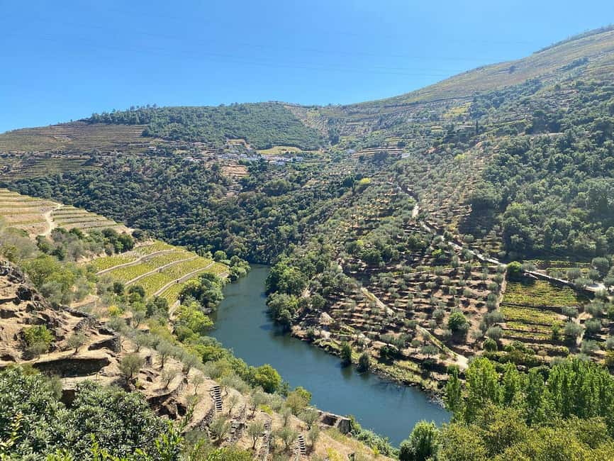 Private Douro Luxury,Private Boat,Wine,visits, 5 Stars Lunch - Gourmet Lunch with Award-Winning Wines at a 5-Star Restaurant