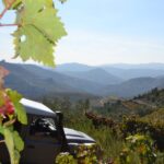 Private Douro Valley 4WD Tour with Wine Tasting and Picnic - Viewpoints and Scenic Photo Stops