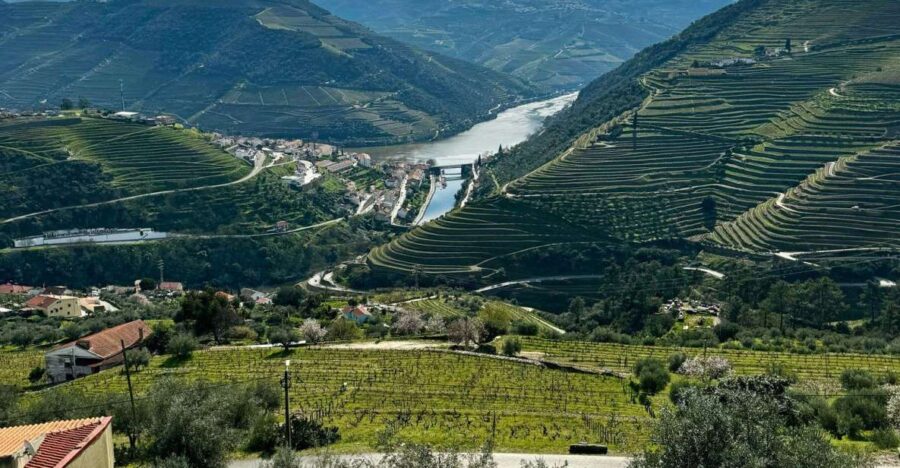Private Douro Valley Full Day Tour - Scenic Drives and the Douro’s Most Beautiful Road