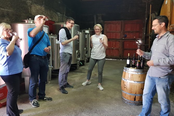 Private Douro Valley visit to three vineyards with Lunch from Porto - Scenic Drive Along the National Road 222 to Folgosa