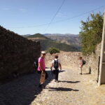 Private Douro Wine Experience - Full Day in the Douro Valley - Exploring the Vineyards and Wineries of the Douro