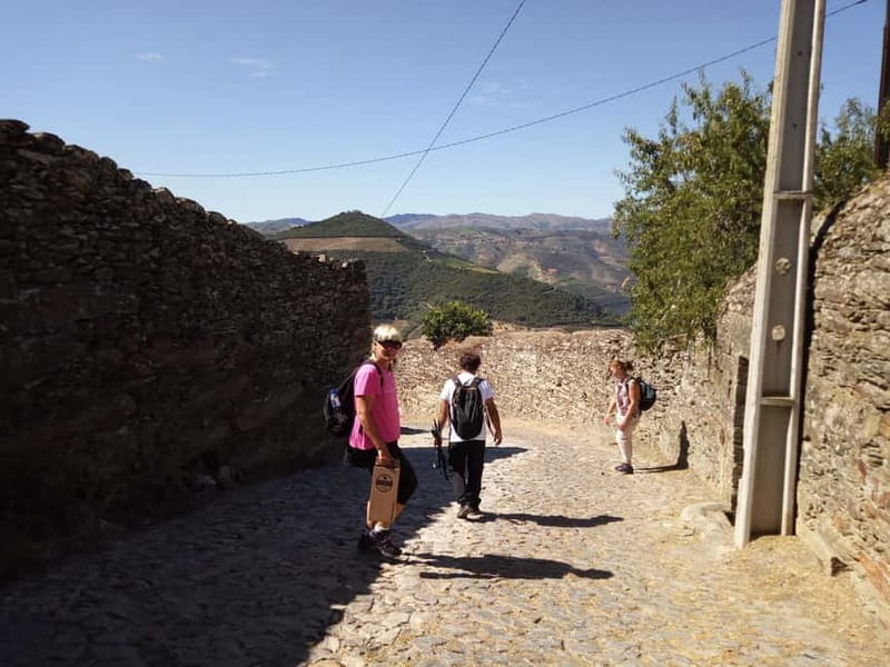 Private Douro Wine Experience - Full Day in the Douro Valley - Exploring the Vineyards and Wineries of the Douro