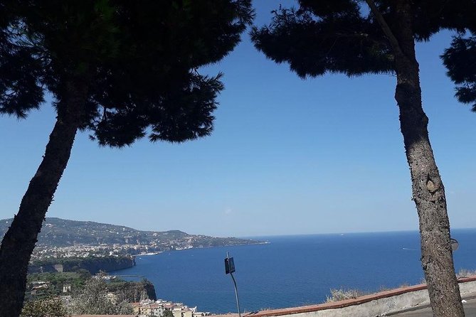 Private Driver VIP Tour of Sorrento & its food delicacies - Convenient Pickup and Customizable Departure Times