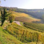 Private E-bike Tour " Langhe del Barbaresco " - Asphalt only - Discovering Alba’s Historic Center and Sweet Endings