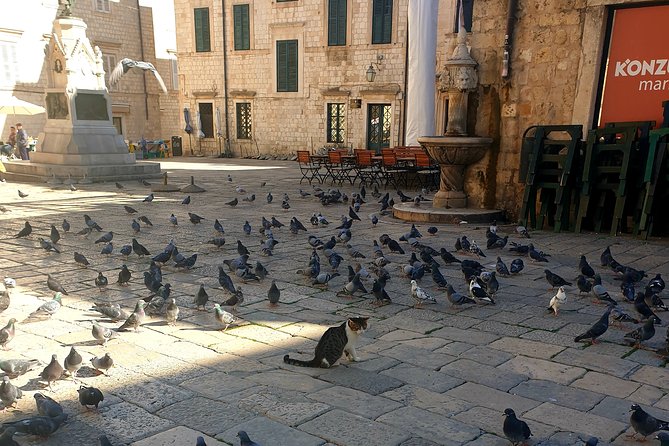 Private Early Morning Dubrovnik Tour - Discover the Charm of Stradun and Its Famous Fountains