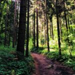 Private eclectic hiking experience of Samobor Hills - Exploring Nature in the Zumberak-Samobor Mountains