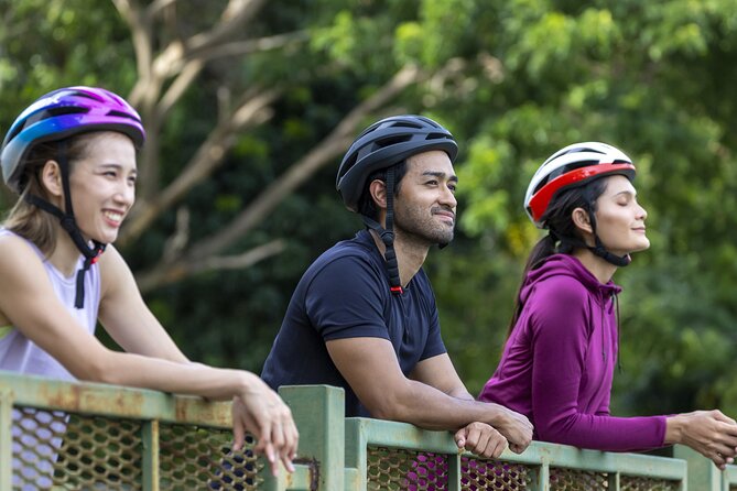 Private Electric Bike Tour through the City of Madrid - Visiting Madrids Historic Plaza Mayor