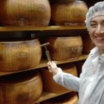 Private Emilian Food and Wine Tasting Tour in Modena - Visiting the Parmigiano Reggiano Dairy in Castelvetro di Modena