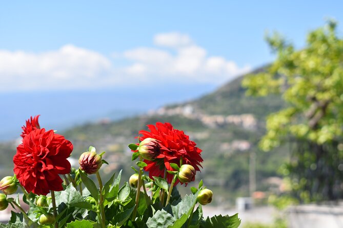 Private Etna tour with lunch in traditional "Trattoria" with organic food - Reaching Mount Etna’s Rifugio Sapienza Station
