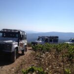 Private Exclusive Manousakis Winery and Vineyard Tour - Off-Road Vineyard Exploration and Photo Opportunities