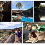 Private excursion in Lanzarote, minibus and guide available - Los Hervideros’ Tidal Pools and Coastline Views