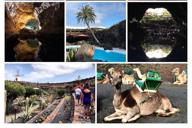 Private excursion in Lanzarote, minibus and guide available - Los Hervideros’ Tidal Pools and Coastline Views