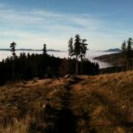 Private excursion: panorama and breath of fresh air at Mont-Sainte-Odile ! - The Architectural and Natural Highlights of the Monastery