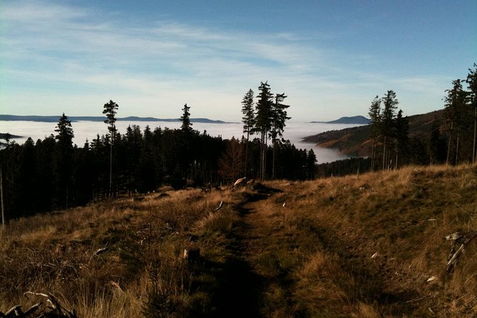 Private excursion: panorama and breath of fresh air at Mont-Sainte-Odile ! - The Architectural and Natural Highlights of the Monastery