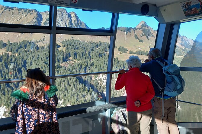 Private Excursion to Glacier 3000 - Scenic Drive with Views of Lake Geneva and Mont Blanc