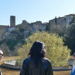 Private Food and Walking Tour in San Gimignano and Volterra - Discovering San Gimignano’s Medieval Skyline